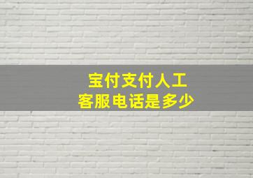 宝付支付人工客服电话是多少