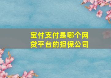 宝付支付是哪个网贷平台的担保公司