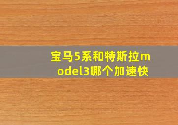 宝马5系和特斯拉model3哪个加速快