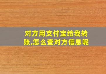 对方用支付宝给我转账,怎么查对方信息呢