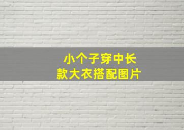 小个子穿中长款大衣搭配图片