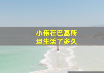 小伟在巴基斯坦生活了多久