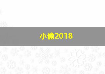 小偷2018