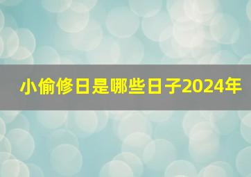 小偷修日是哪些日子2024年