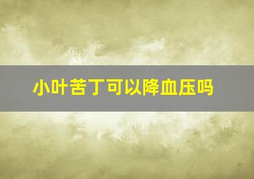 小叶苦丁可以降血压吗