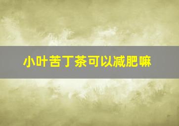 小叶苦丁茶可以减肥嘛