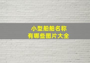 小型船舶名称有哪些图片大全