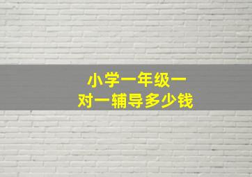 小学一年级一对一辅导多少钱