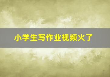 小学生写作业视频火了