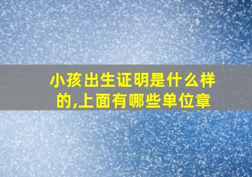 小孩出生证明是什么样的,上面有哪些单位章