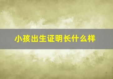 小孩出生证明长什么样