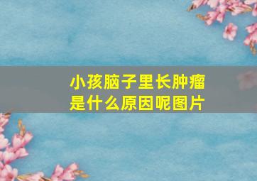 小孩脑子里长肿瘤是什么原因呢图片