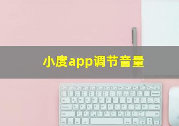 小度app调节音量