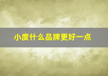 小度什么品牌更好一点