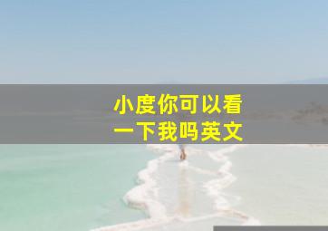 小度你可以看一下我吗英文