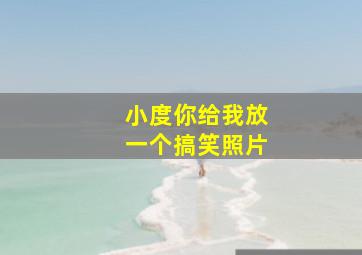 小度你给我放一个搞笑照片