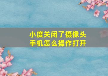 小度关闭了摄像头手机怎么操作打开