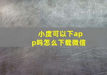 小度可以下app吗怎么下载微信