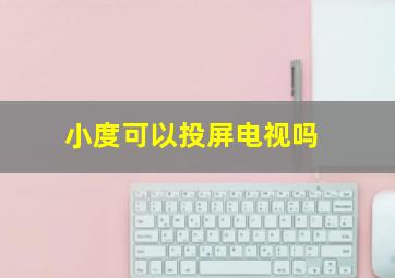 小度可以投屏电视吗