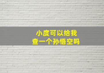 小度可以给我查一个孙悟空吗