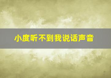 小度听不到我说话声音