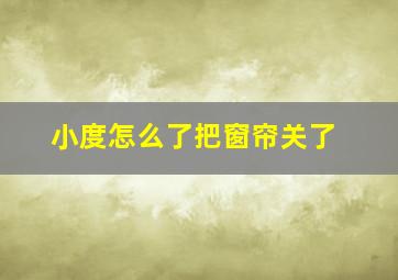 小度怎么了把窗帘关了