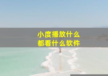 小度播放什么都看什么软件