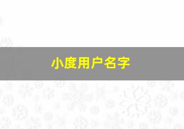 小度用户名字