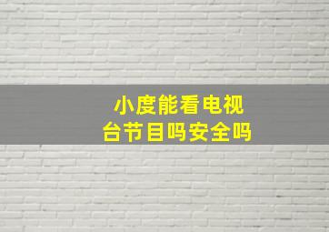 小度能看电视台节目吗安全吗