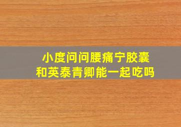 小度问问腰痛宁胶囊和英泰青卿能一起吃吗