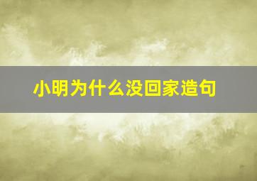 小明为什么没回家造句