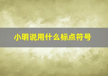 小明说用什么标点符号