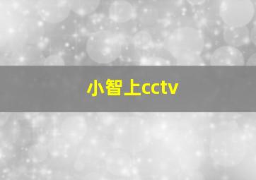 小智上cctv