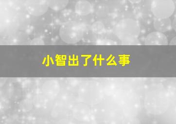 小智出了什么事