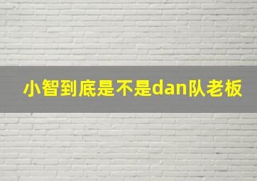 小智到底是不是dan队老板