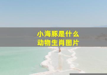 小海豚是什么动物生肖图片