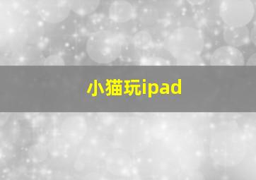 小猫玩ipad