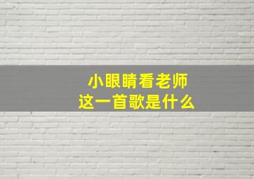 小眼睛看老师这一首歌是什么