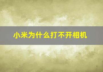 小米为什么打不开相机