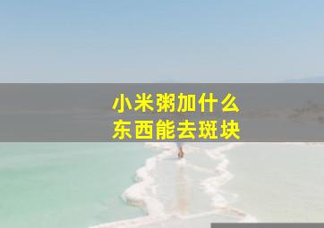 小米粥加什么东西能去斑块