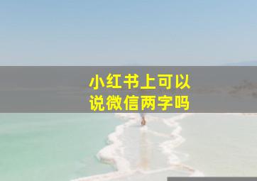 小红书上可以说微信两字吗