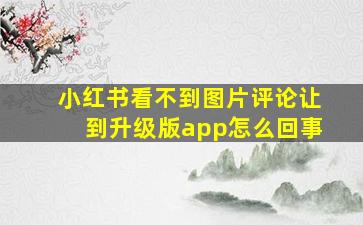 小红书看不到图片评论让到升级版app怎么回事