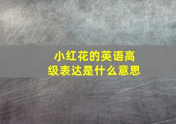 小红花的英语高级表达是什么意思