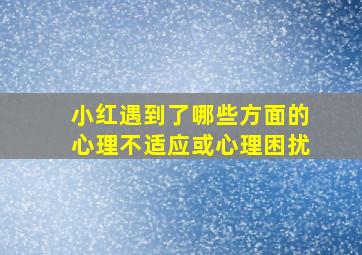 小红遇到了哪些方面的心理不适应或心理困扰