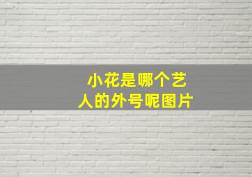 小花是哪个艺人的外号呢图片