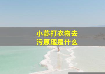 小苏打衣物去污原理是什么