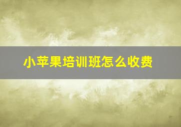 小苹果培训班怎么收费