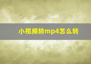 小视频转mp4怎么转