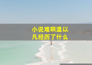 小说难哄温以凡经历了什么