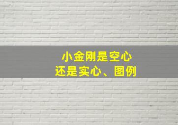 小金刚是空心还是实心、图例